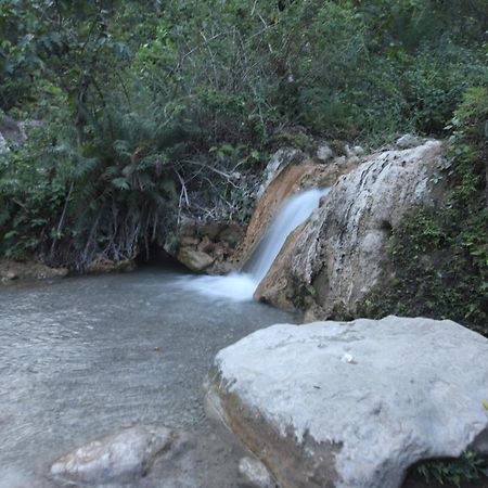 Perfect Stayz Premium Forest Valley Near Waterfall Рішикеш Екстер'єр фото
