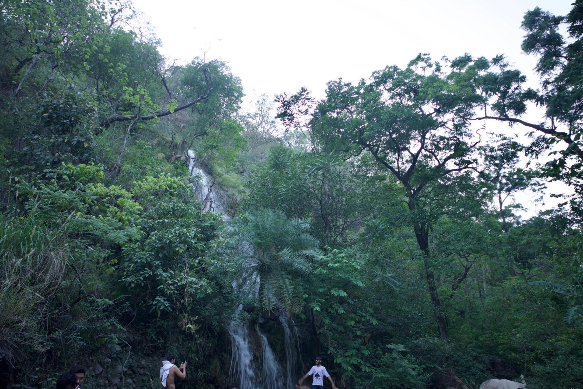 Perfect Stayz Premium Forest Valley Near Waterfall Рішикеш Екстер'єр фото