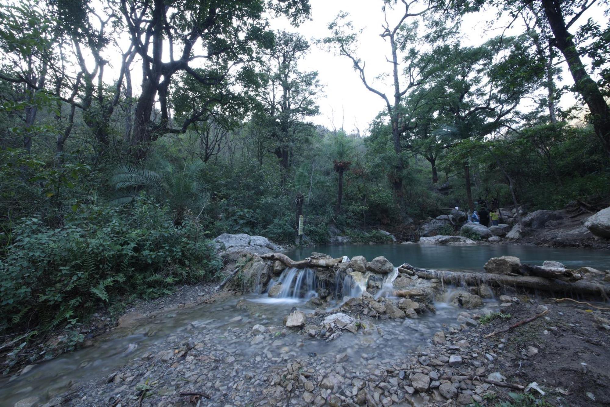Perfect Stayz Premium Forest Valley Near Waterfall Рішикеш Екстер'єр фото